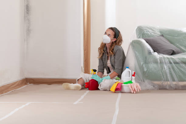 Reliable Mold Remediation contractor in Fruitport, MI by Cheap Mold Removal